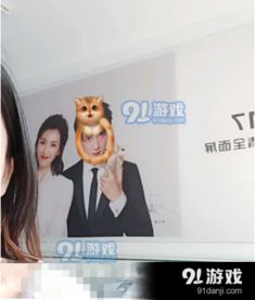 创作猫怎么拍摄视频教程 创作猫怎么拍摄视频教程