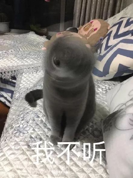 怎么拍摄不糊的照片教程