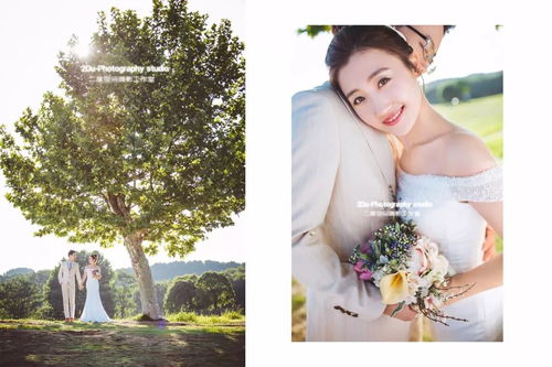 怎么做婚纱拍摄教程图片