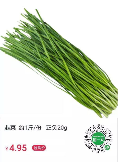 采摘菜怎么拍摄视频教程 采摘菜怎么拍摄视频教程