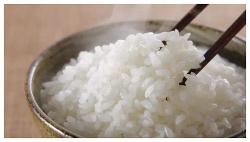 焖米饭视频怎么拍摄的教程 焖米饭视频怎么拍摄的教程