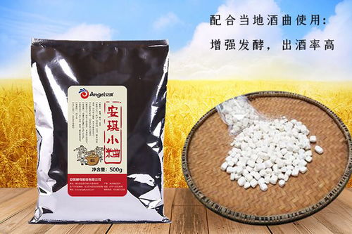 酒曲怎么拍摄视频教程图片 酒曲怎么拍摄视频教程图片
