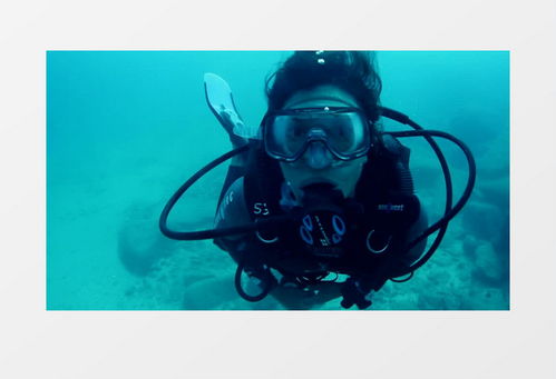 潜水海底怎么拍摄视频教程 潜水海底怎么拍摄视频教程