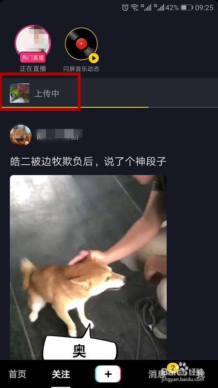 抖音拍摄教程小熊怎么拍 抖音拍摄教程小熊怎么拍