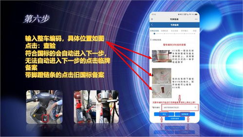 上牌怎么拍摄视频教程图片 上牌怎么拍摄视频教程图片