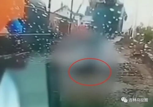 雨后岔路怎么拍摄视频教程 雨后岔路怎么拍摄视频教程