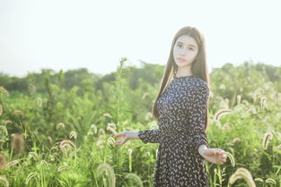 怎么拍摄花丛视频教程全集