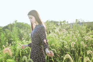 怎么拍摄花丛视频教程全集