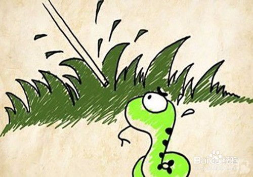 蛇怎么拍摄的视频教程