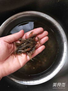 草虾怎么拍摄视频教程图片