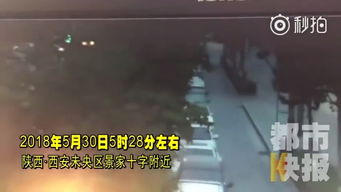失控怎么拍摄视频教程图片
