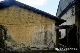 怎么拍摄村落视频教程图片