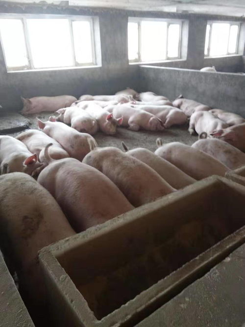 打圈圈怎么拍摄视频教程