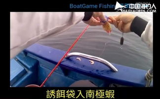 有小船怎么拍摄视频教程