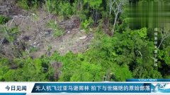 雨林桥洞怎么拍摄视频教程