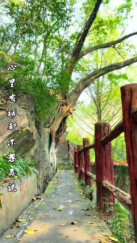 剪映教程街景怎么拍摄的 剪映教程街景怎么拍摄的
