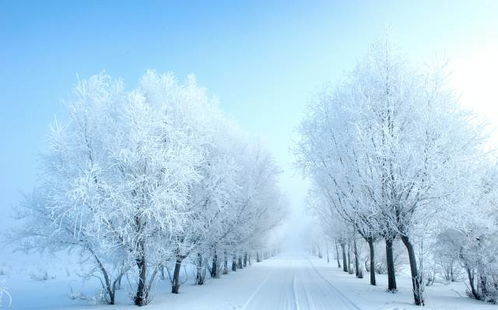 雪景怎么拍摄宣传视频教程