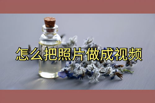 酒曲怎么拍摄视频教程全集