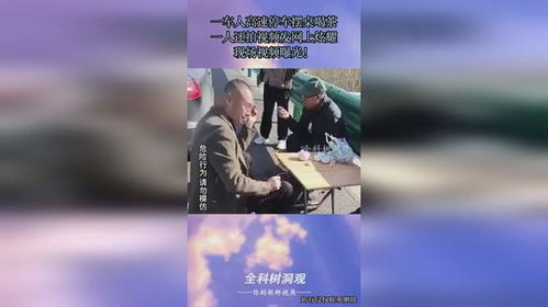 茶车视频怎么拍摄教程图片