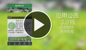 公园怎么去拍摄视频教程