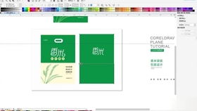 发传单怎么拍摄视频教程