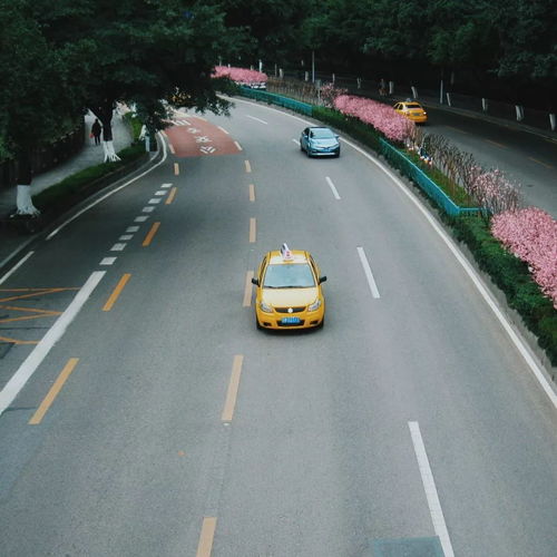 拍摄教程坐车怎么拍的好看 拍摄教程坐车怎么拍的好看