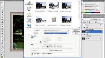 去公园怎么拍摄视频教程