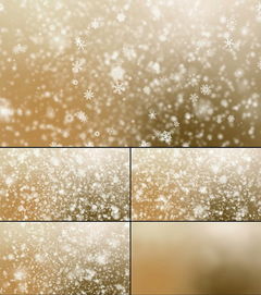 大雪花怎么拍摄视频教程